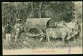 Cartes postales anciennes 12625